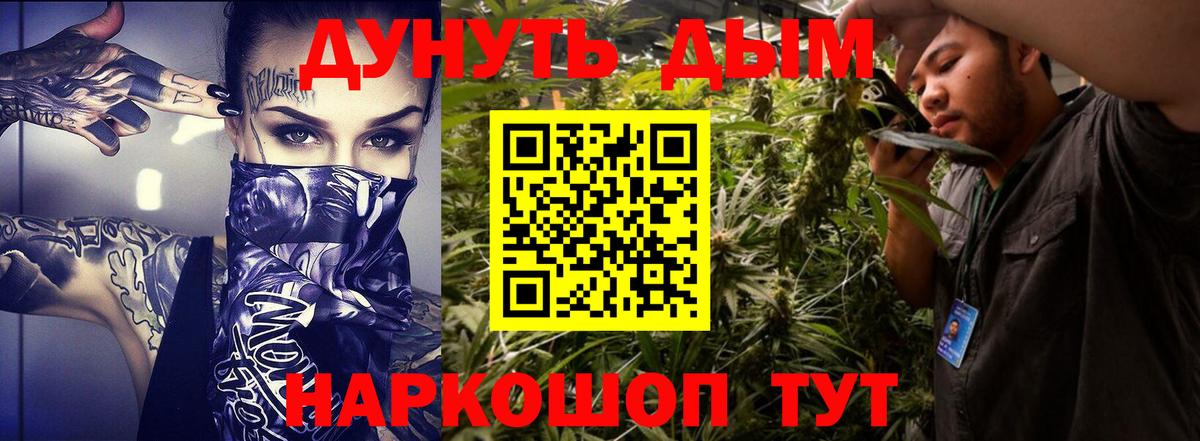 Бошки Шишки сатива Берёзовский